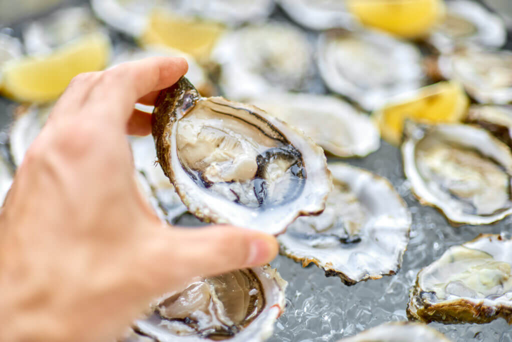 The Fine Art of Shucking: How to Properly Open an Oyster