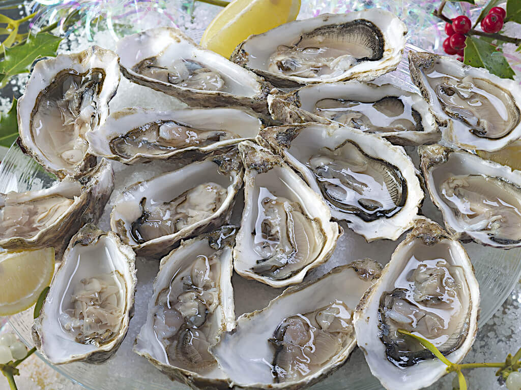 Incorporate Oysters in Your Holiday Meal