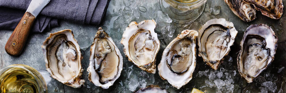 Seafood Fancy: Oysters of The United States