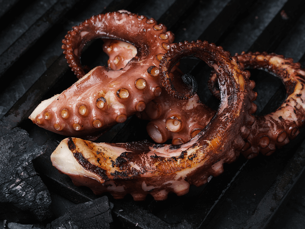 How Tasty is Grilled Spanish Octopus?