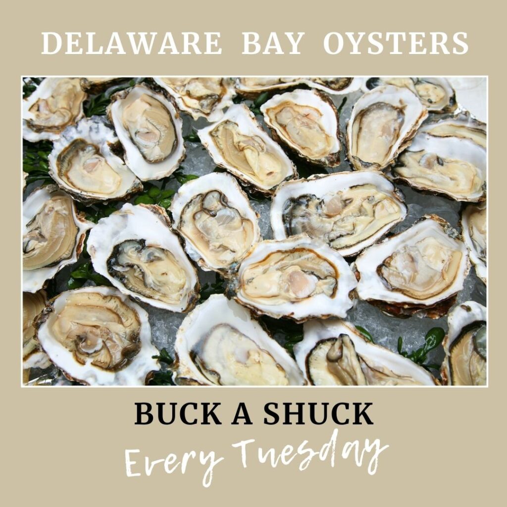 Kevins - Buck a Shuck Oyster Night - Every Tuesday