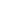 The 16th Ward